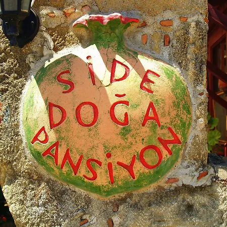 Doga Pension Pensionat *