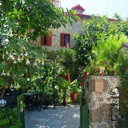 Pensionat Doga Pension *